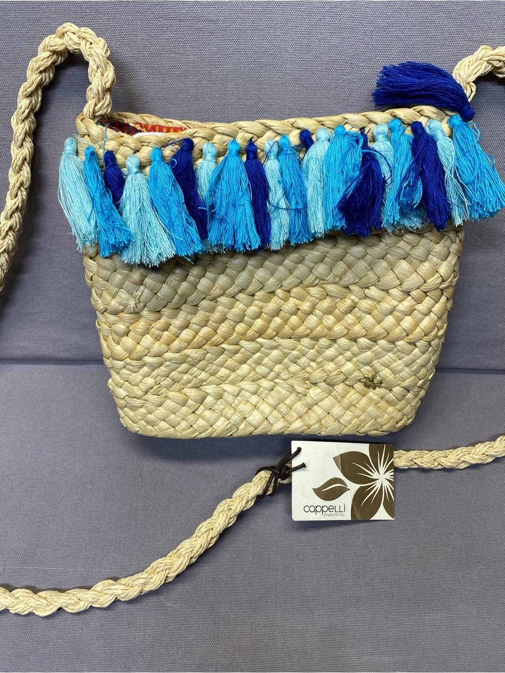 Capelli of New York Natural Straw Crossbody with Blue Tassels